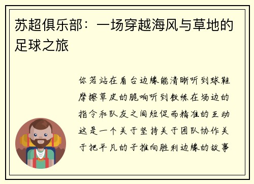 苏超俱乐部：一场穿越海风与草地的足球之旅